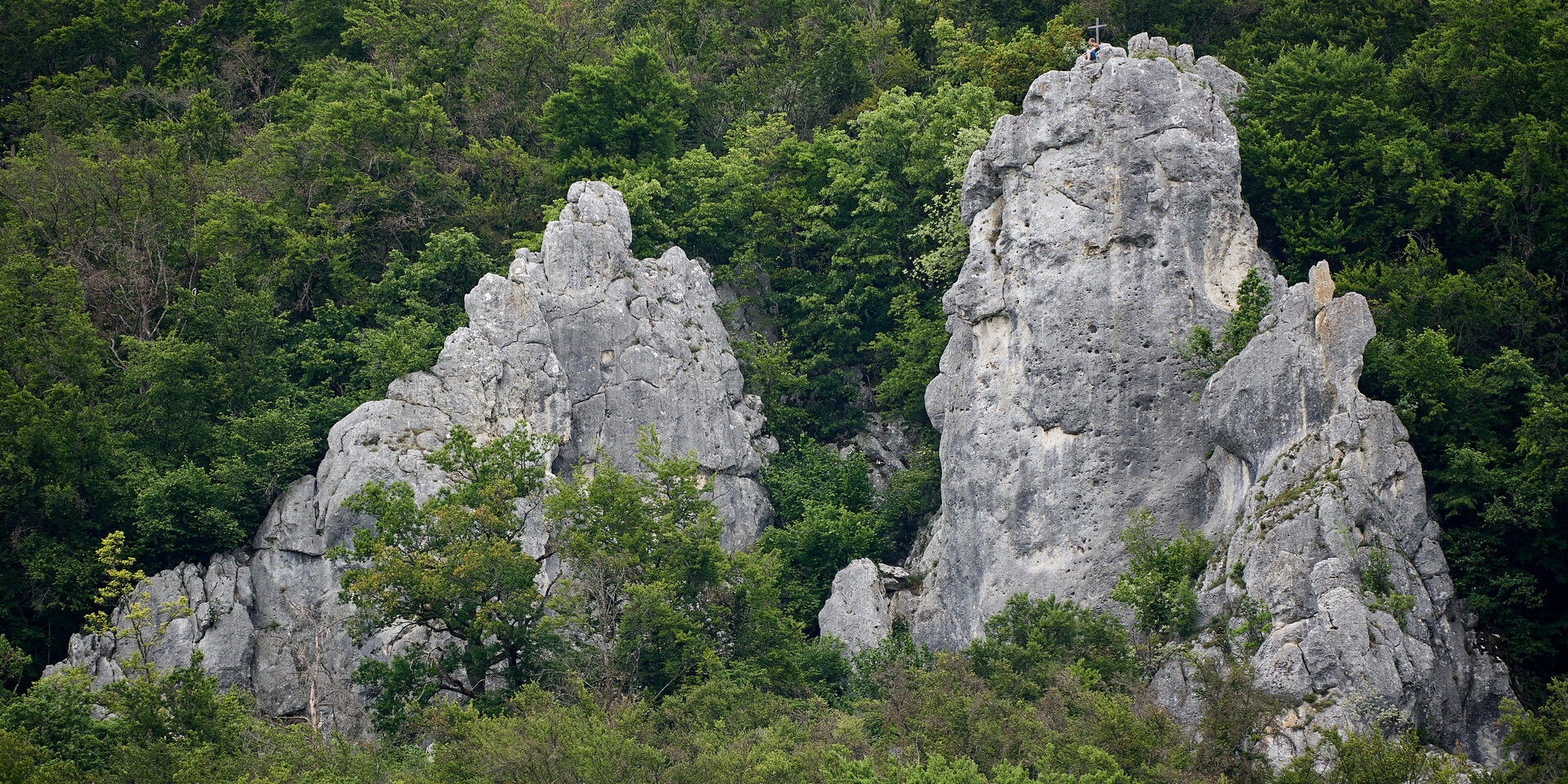 © DAV Ingolstadt / Stephan Stickler