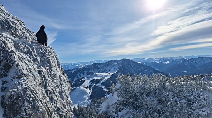 © DAV Ingolstadt / Tourengruppe Bergfreunde